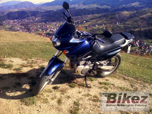 2000 Suzuki XF 650 Freewind photo
